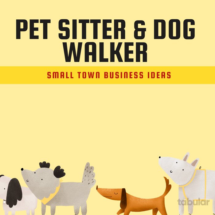 small town business ideas: pet sitter care taker